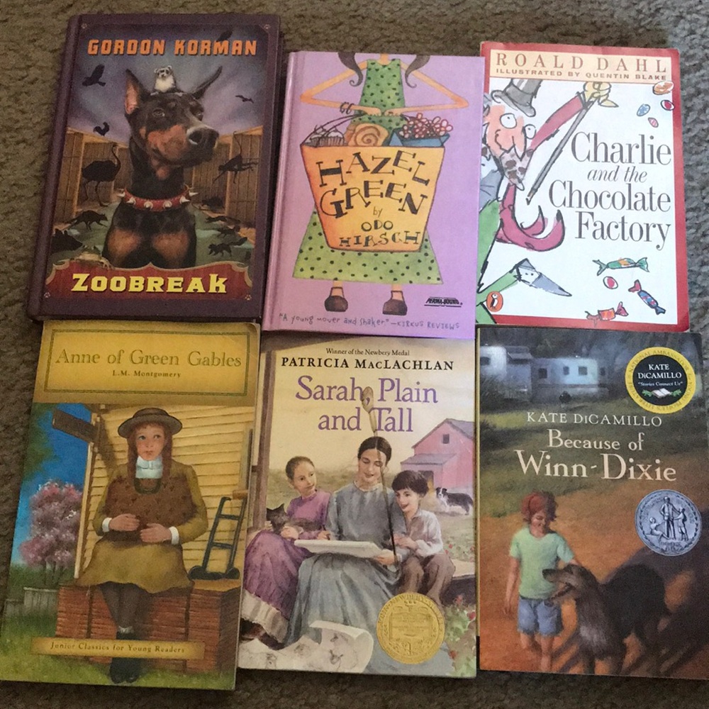 6 AR books